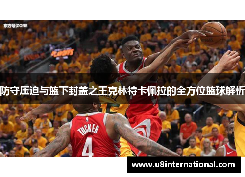 防守压迫与篮下封盖之王克林特卡佩拉的全方位篮球解析