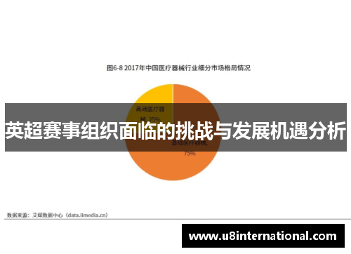 英超赛事组织面临的挑战与发展机遇分析