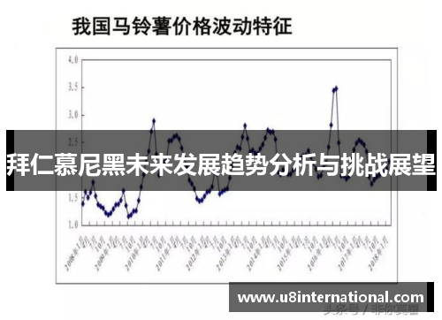 拜仁慕尼黑未来发展趋势分析与挑战展望