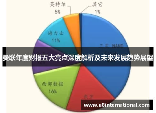 曼联年度财报五大亮点深度解析及未来发展趋势展望