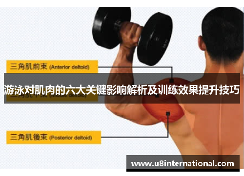 游泳对肌肉的六大关键影响解析及训练效果提升技巧