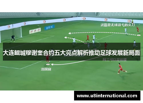 大连鲲城穆谢奎合约五大亮点解析推动足球发展新局面