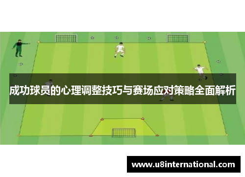 成功球员的心理调整技巧与赛场应对策略全面解析