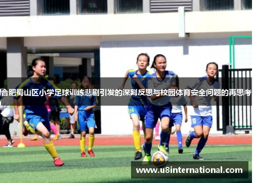 合肥蜀山区小学足球训练悲剧引发的深刻反思与校园体育安全问题的再思考