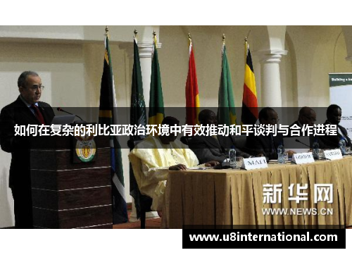 如何在复杂的利比亚政治环境中有效推动和平谈判与合作进程
