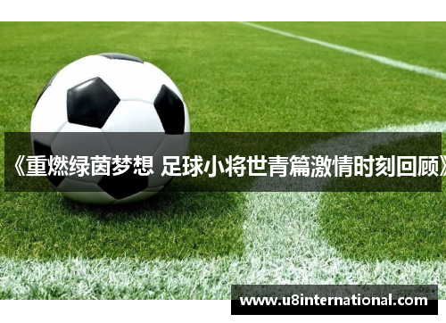 《重燃绿茵梦想 足球小将世青篇激情时刻回顾》