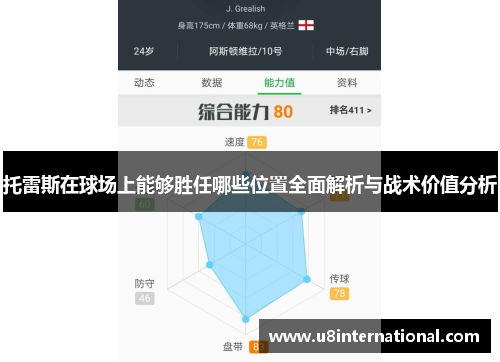 托雷斯在球场上能够胜任哪些位置全面解析与战术价值分析
