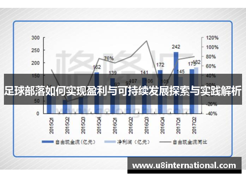 足球部落如何实现盈利与可持续发展探索与实践解析